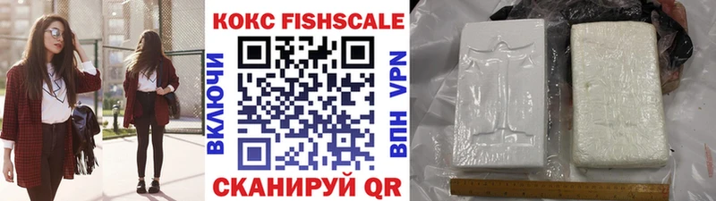 Купить  Благовещенск  Cocaine FishScale 