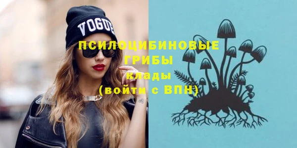 индика Сатка