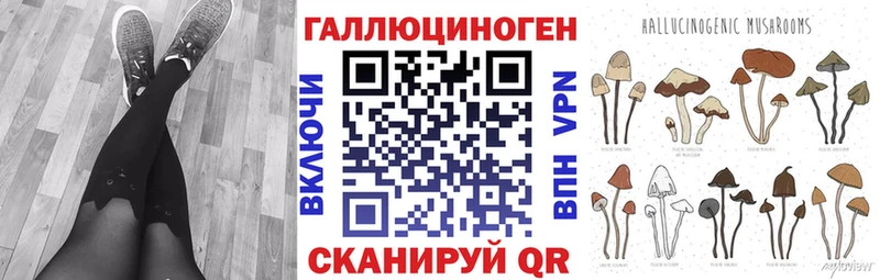 Купить  Благовещенск  Галлюциногенные грибы MAGIC MUSHROOMS 