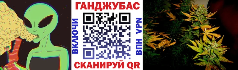 Купить  Благовещенск  Бошки марихуана THC 21% 